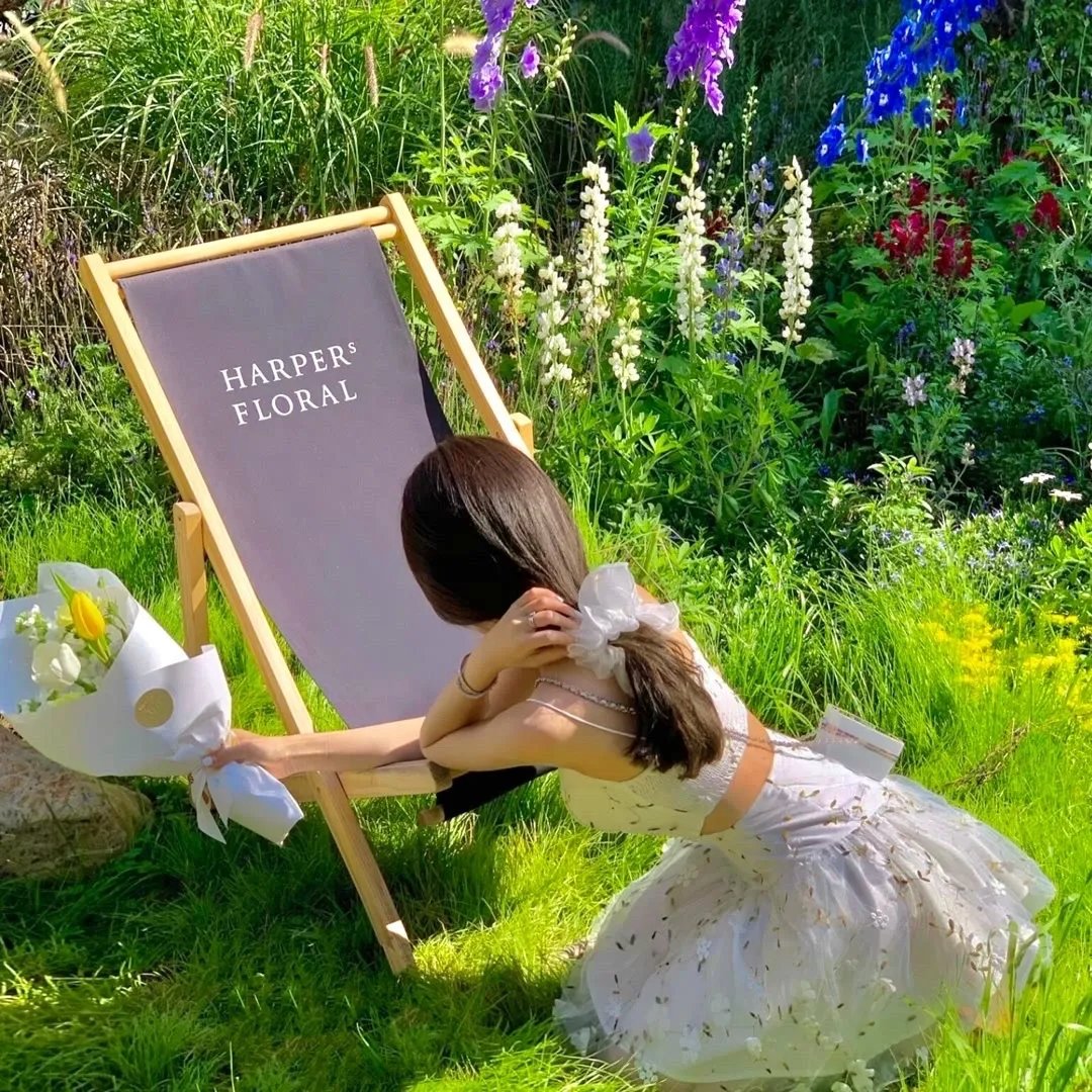 来自天狼星的你